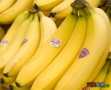 【香蕉】空腹吃香蕉好吗 催熟香蕉的方法有哪些