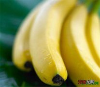 【价格】菲律宾香蕉价格和特点 菲律宾香蕉好吃吗