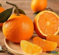 【柠檬】柑橘类水果包含哪些 柑橘与柠檬的区别有哪些