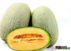 【功效】哈密瓜的功效与作用 孕妇可以能吃哈密瓜吗