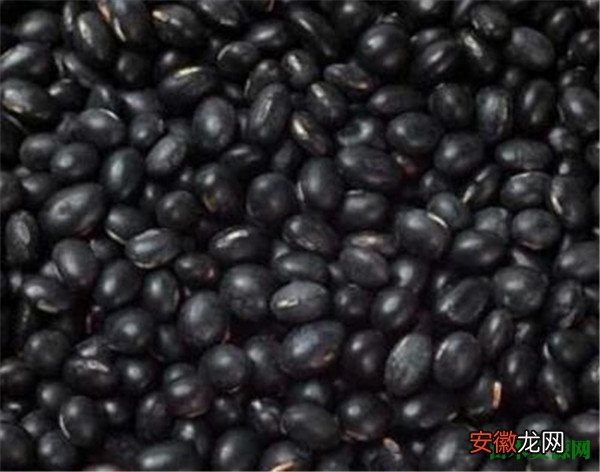 【吃】黑豆怎么吃最好 黑豆的营养价值有哪些