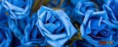 【花】蓝色玫瑰的花代表什么意思 蓝色玫瑰的花代表什么意思呢