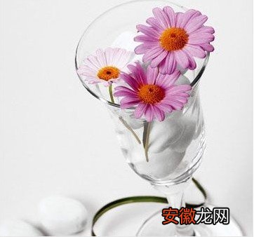 【花】当鲜花遇上玻璃