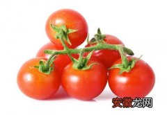 番茄与西红柿从不同的方面有哪些区别