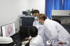 桂林医学院：打造特色科研平台 赋能桂北医学研究