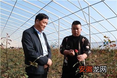 庆云县尚堂镇： “三大主力军”助推农村集体经济提质增效
