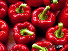 常吃辣椒对身体有哪些好处和弊端
