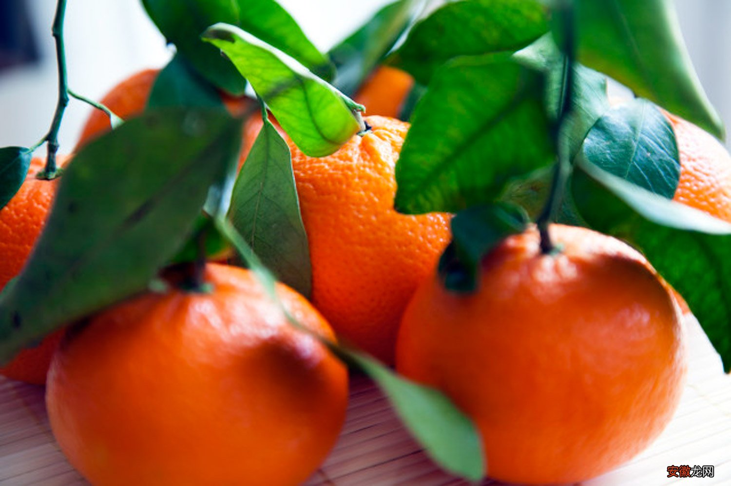 【开花】柑橘开花前施什么肥
