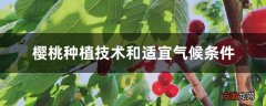 【种植】樱桃种植技术和适宜气候条件