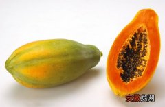 雪哈炖木瓜的做法以及它的营养价值