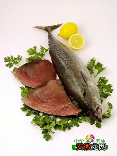 春天清新低脂肪的海货减肥食物 吃客减肥已不悲催