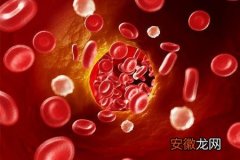 人体内的血液含量有多少作用是什么