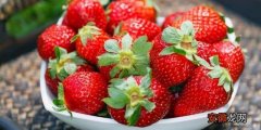 【草莓】冬季草莓难“长大”！如何使草莓在冬季的风雪中更加坚强