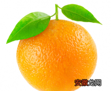 橙子是否适合多吃橙子属于寒性吗