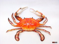 吃螃蟹的调料怎么搭配味道更好更营养