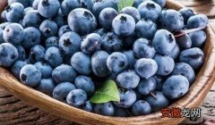 蓝莓怎么吃更能保存营养