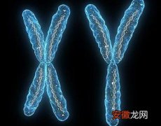 染色质和染色体之间存在着什么样的关系