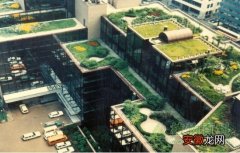 【花】屋顶绿化惊艳世博，花园城市还靠科技