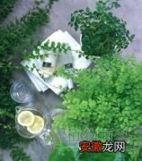 【植物】浴室与植物完美搭配，营造自然浴室