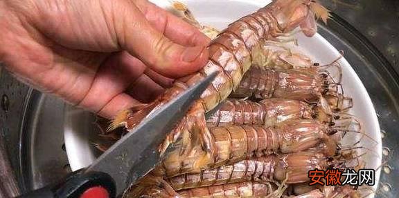 皮皮虾好吃壳难剥，找到身上这个“拉链”，轻松能剥一大盆！