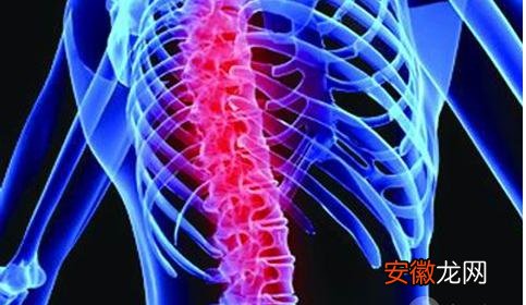 一项矫正你脊柱的运动 脊椎运动操