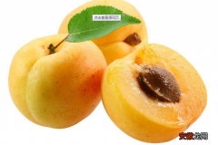 【营养】杏有哪些营养成分？吃杏的好处有哪些？