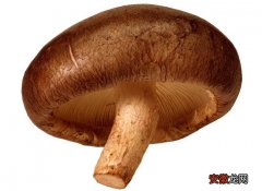 【香菇】香菇和冬菇的区别有哪些？