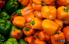 【花卉大全】彩椒是转基因食品吗？