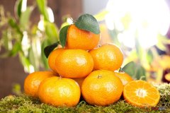 橘子的花样吃法全给你解决了，不如自己动手做给孩子吃