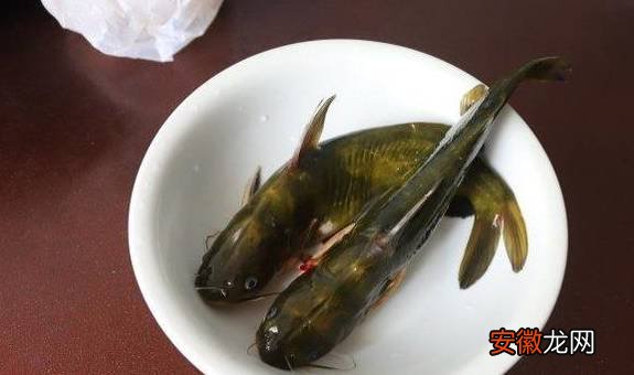黄颡鱼的样子虽怪，却是最经典最出味的做法是汆汤