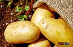 【高产】土豆怎样才能高产