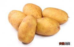 【土豆】土豆的田间管理