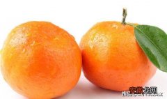 老果农说，橘子上面有个“小机关”，甜不甜看一眼就知道了