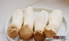 杏鲍菇最好吃的做法，比油炸的健康，越嚼越香，好吃的停不下来