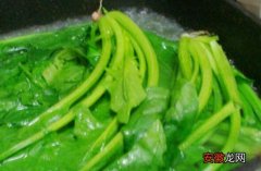 水煮菠菜的作用与功效 水煮菠菜有哪些好处呢