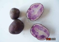 【种植】黑土豆的种植技术
