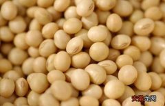 【花卉大全】转基因大豆是怎么回事？