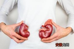 如何保障肝脏的健康
