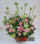 【盆花】欢愉馨情母亲节盆花