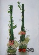 【花】母亲节典雅组合花礼