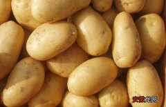 【种子】土豆种子价格及种植方法