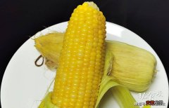 新鲜玉米怎么做才鲜甜软糯，2个小技巧，你都学会了吗？