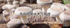 【种植】香菇种植技术与管理
