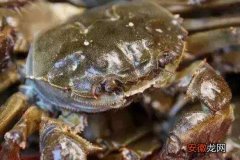 当日死了的螃蟹能吃吗 吃完死螃蟹怎么祛毒