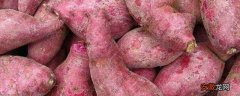 【栽培】紫薯栽培技术要点，附管理注意事项