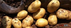 【肥料】马铃薯追肥时间，用什么肥料更好