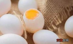 鸽蛋的作用与功效 鸽蛋的营养成分