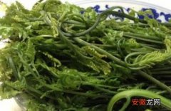 水蕨菜的营养成分 水蕨菜的危害