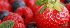 【草莓】大棚草莓种植方法，选好品种是第一步