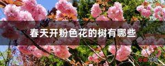 【花】春天开粉色花的树有哪些